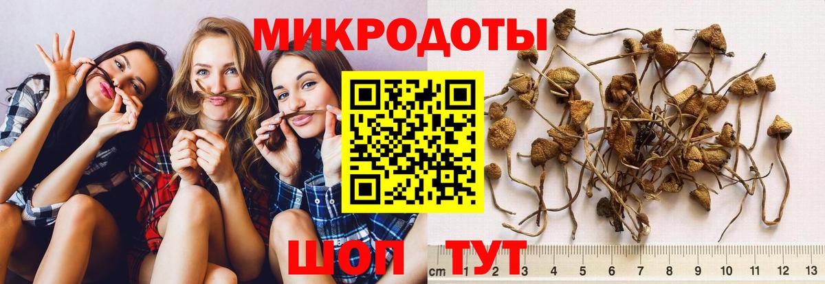 Псилоцибиновые грибы мухоморы  Вход с VPN  Губкинский 