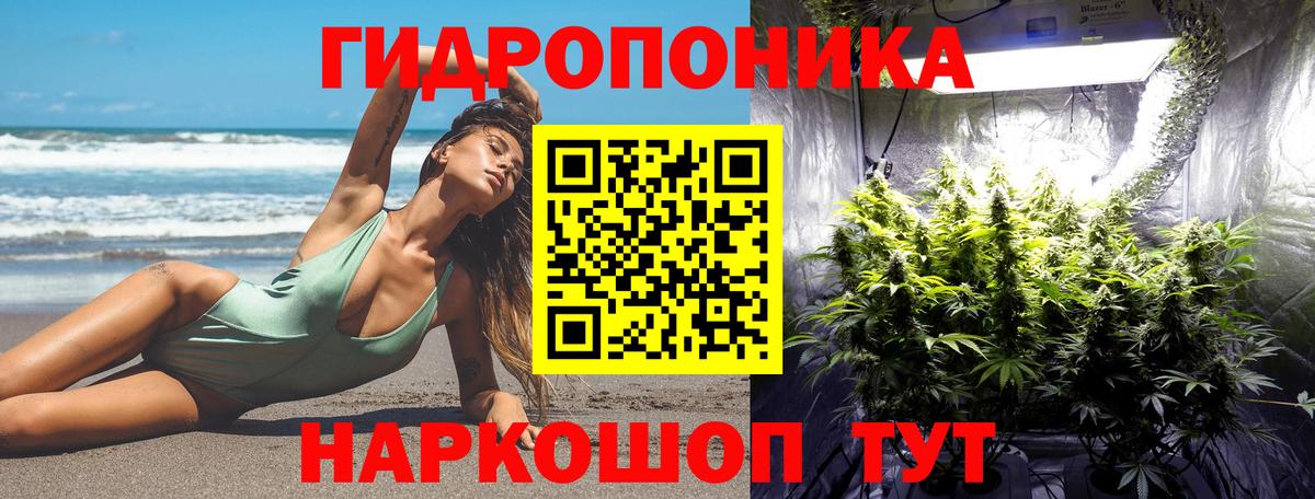 Конопля ГИДРОПОН Губкинский